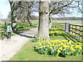 Spring at Normandie Stud