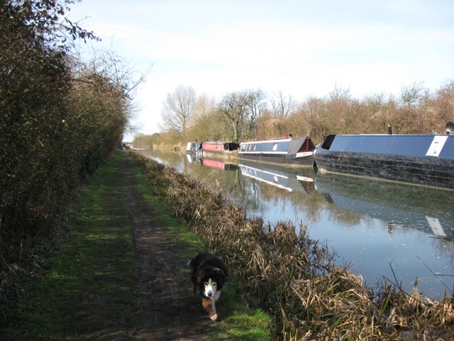 Canal towpath opposite Bate's Boatyard