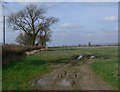 SK6610 : Farmland north of Ridgemere Lane by Mat Fascione