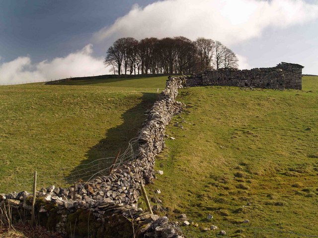 Yorkshire Dale's limestone wall