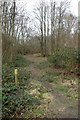 SP3772 : Bridleway in Ryton Wood by Keith Williams