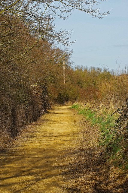 Tylers Wood Path