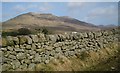 Dry stone wall, Banns Road