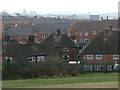 View from near Sunrise Hill