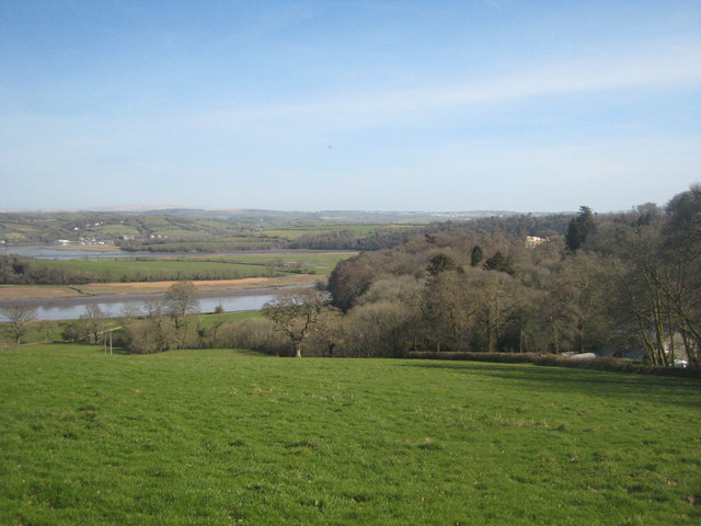 Field on Pentillie Castle estate
