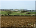 ST6864 : 2009 : North east between Stanton Prior and Corston by Maurice Pullin
