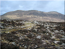 J2922 : Hillside near Slievenaglogh by Rossographer