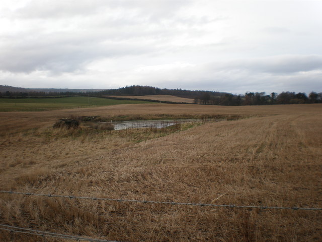 Pond in Field at Darris