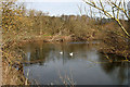 The confluence of the River Till and River Tweed