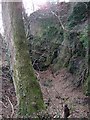 Rockface adjacent to the Bedwas to Machen Cycleway