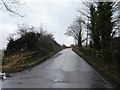 Road  up  to  Railway  Bridge  at  Alne  Station