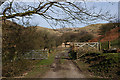 Track south of Moel Golomen