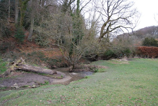Stream to the East of Selborne