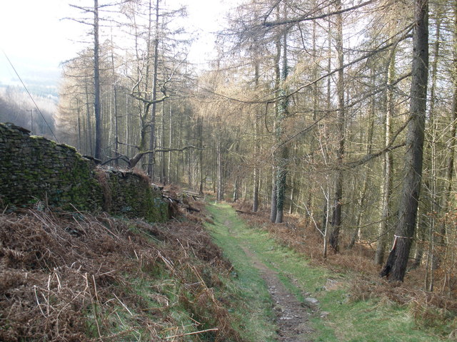 Woodland Path Above Glenboi © Roger Cornfoot Cc By Sa20 Geograph Britain And Ireland