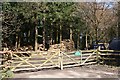 Logs in Great Hatch Wood