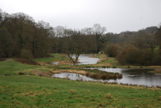 Fishing ponds near Selborne (2)