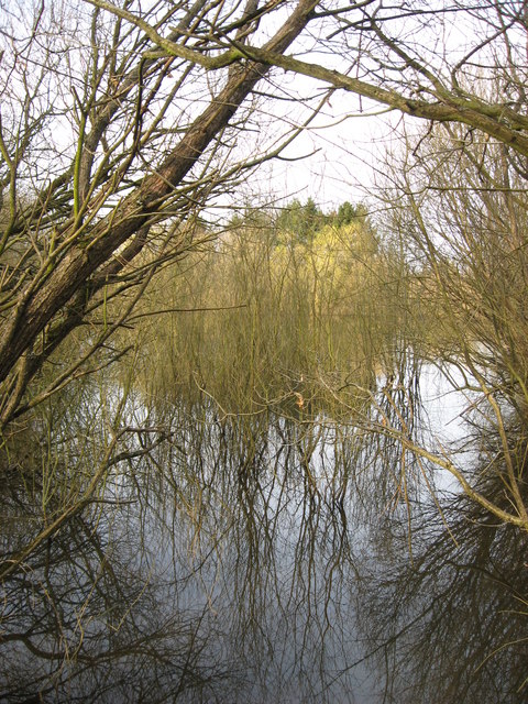 Pond at bottom of valley.