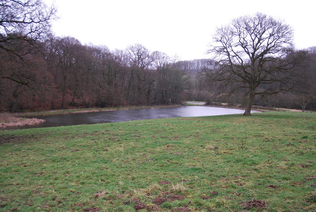 Pond near Coombe Woods