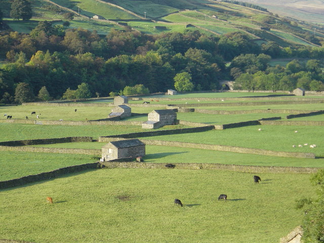 Field Barns in Gunnerside Bottoms