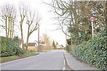 TL5613 : Church Lane, White Roding by MJ Reilly