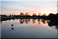 Pond at sunset, Matching Green