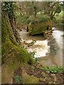 Weir, River Tone