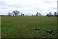 Countryside near Caundle Marsh