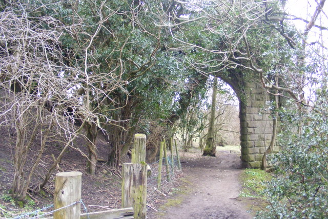 Remains of the railway bridge over the Nidd river 2