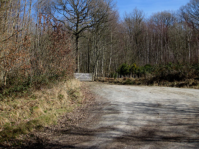 Gated track into Prior's Wood © Pauline E cc-by-sa/2.0 :: Geograph ...