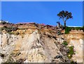 Cliff erosion Bournemouth  Beach