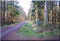 Hangers Way signposted off a woodland track, Hartley Wood