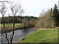 A view of the Ettrrick Water at Philiphaugh