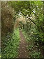 Footpath, Bower Hinton