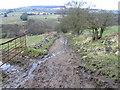 Footpath from Thornsett