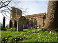 All Saints churchyard  in the springtime - Merriott