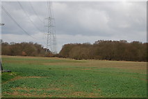 TR1362 : Pylons crossing a field into Clowes Wood by N Chadwick