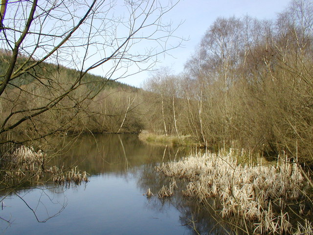 Pexton Pond