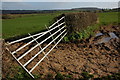 Gate and hedgerow near Llangrove