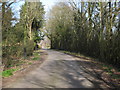 Lane near Bethersden