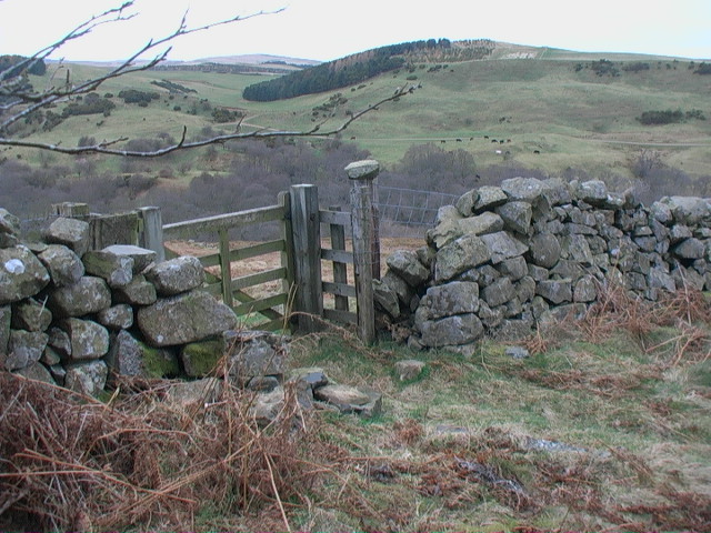 Gate in drystane dyke at north end of Heddon Wood