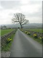 Footpath - Leeds Road