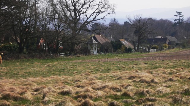 Houses by field at Lodsworth