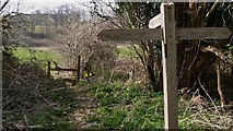 SU9122 : Footpath junction with bridleway at Heathend Copse by Shazz