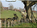 Harwoods Green from footpath at the end of Chance Copse