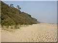 Highcliffe, trees on cliff