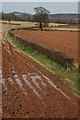 Farmland near Tillers