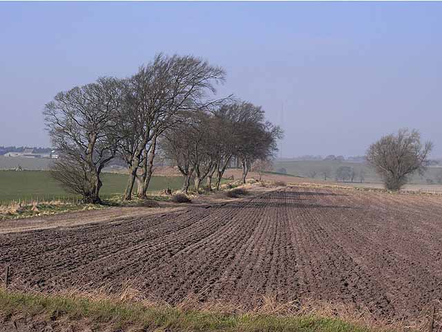 Ploughed field near Halton Red House Farm