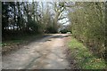 Farm Driveway