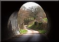 Through the tunnel, Chudleigh