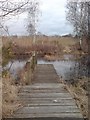 Jetty, Ancells Farm Nature Reserve